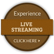 Experience Live Streaming